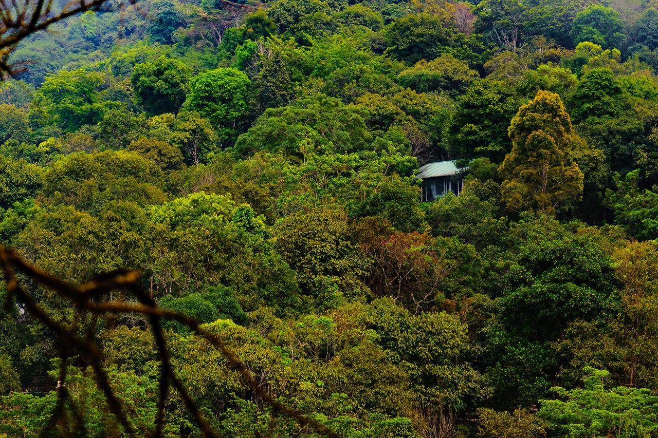 Wayanad Wild - Rainforest Lodge By Cgh Earth Vythiri Exterior photo